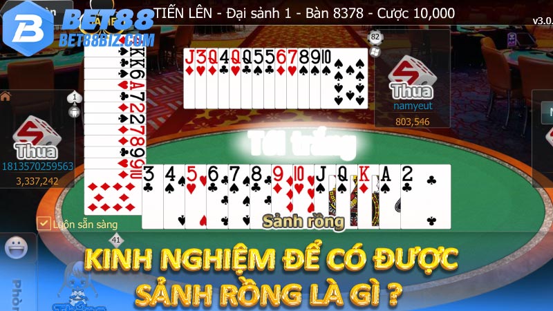 Kinh nghiệm để có được sảnh rồng là gì ?